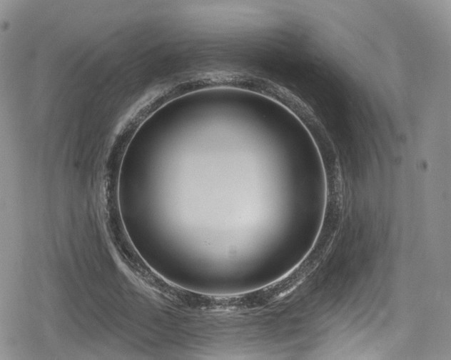 X0000080200730200612081427