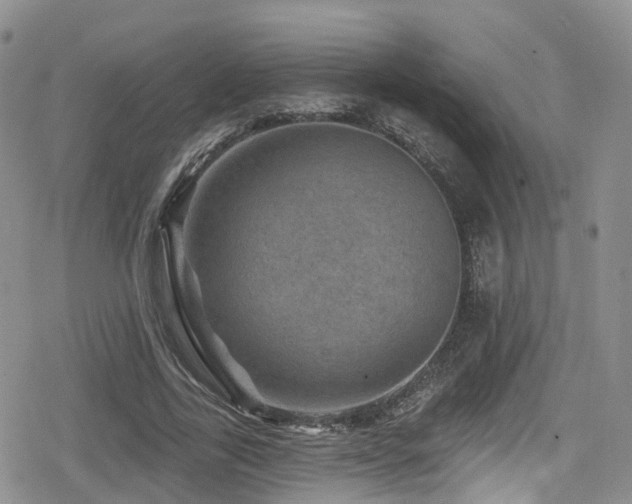 X0000080200731200612081427