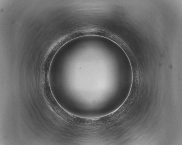 X0000080200732200612081427