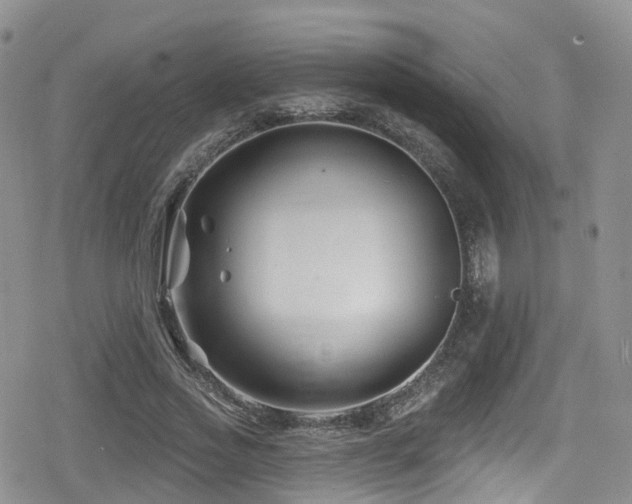 X0000080200733200612081427