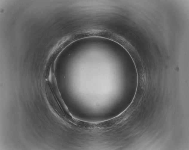 X0000080200734200612081427