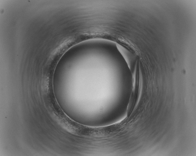 X0000080200735200612081427