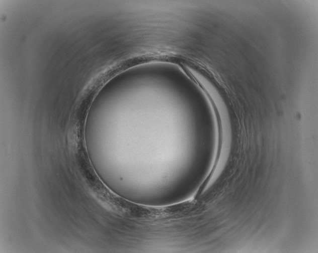 X0000080200736200612081427