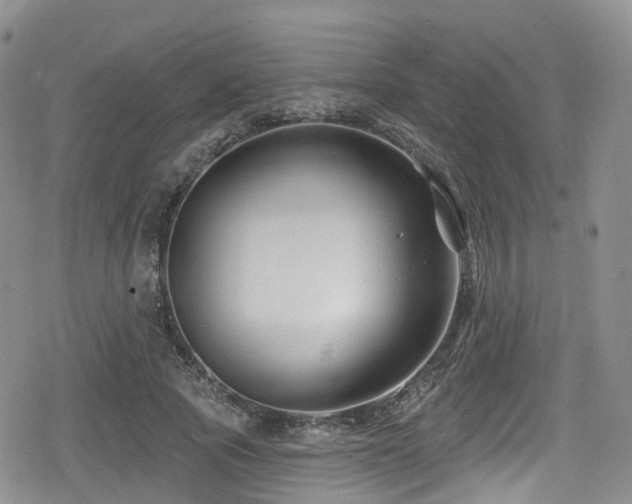 X0000080200737200612081427