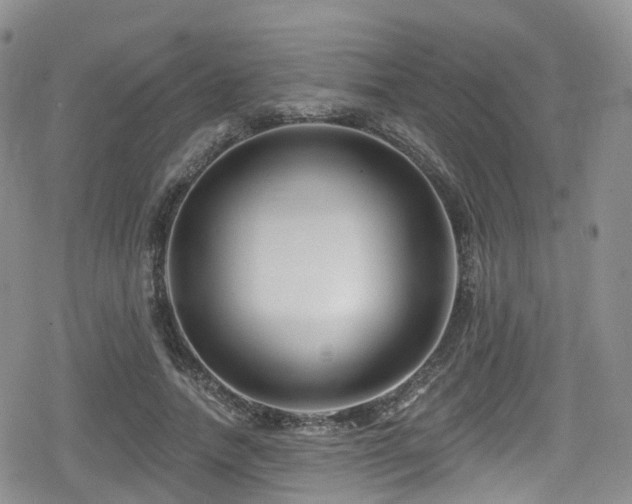 X0000080200738200612081427