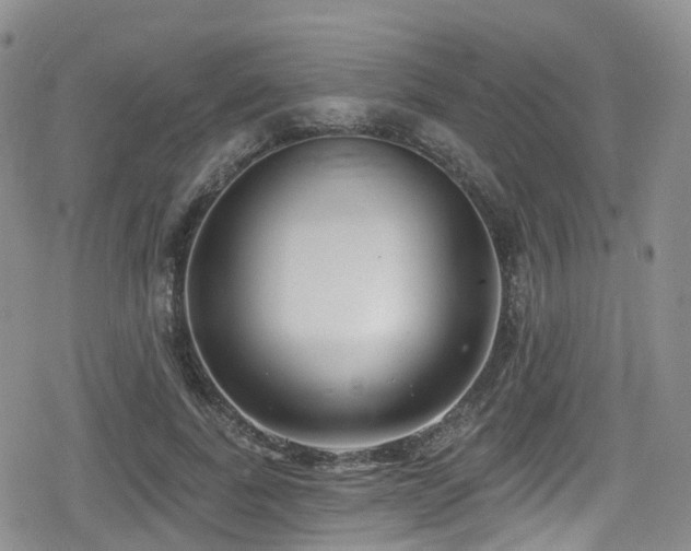 X0000080200739200612081427