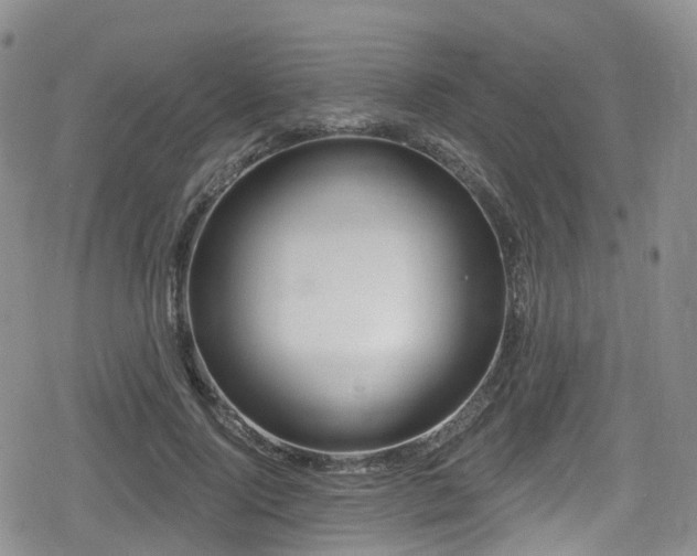 X0000080200740200612081427