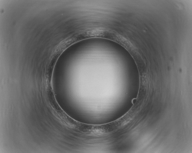 X0000080200741200612081427