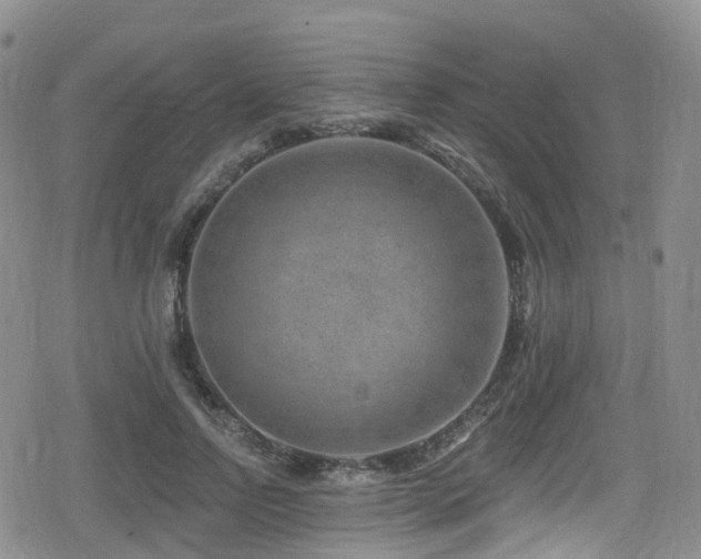 X0000080200742200612081427