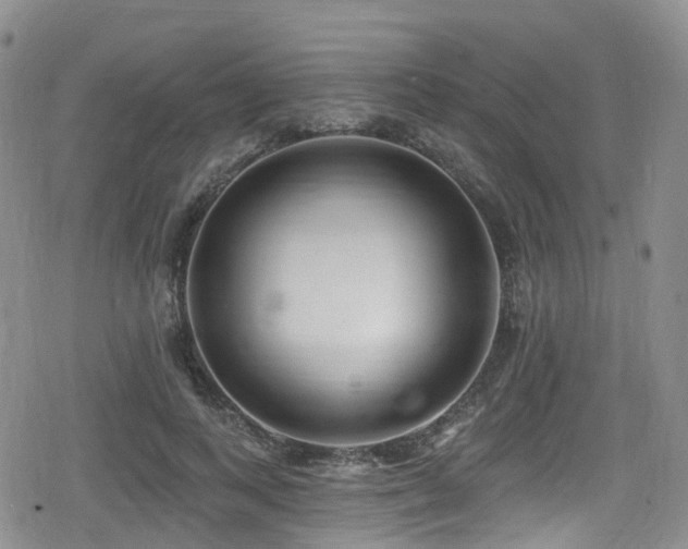 X0000080200743200612081427