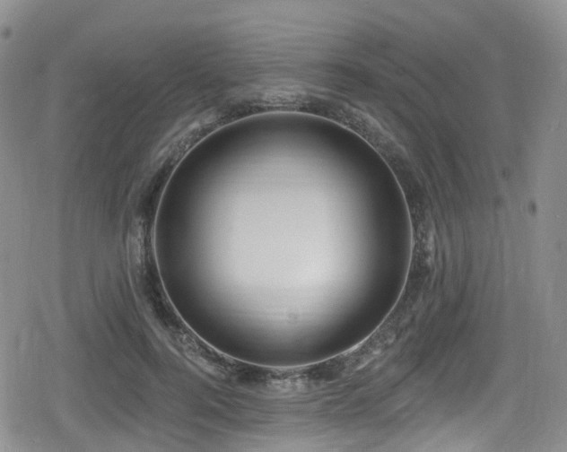 X0000080200744200612081427