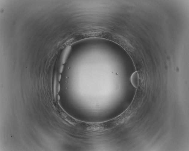 X0000080200745200612081427