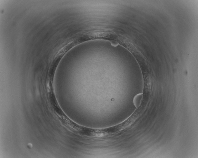 X0000080200746200612081427