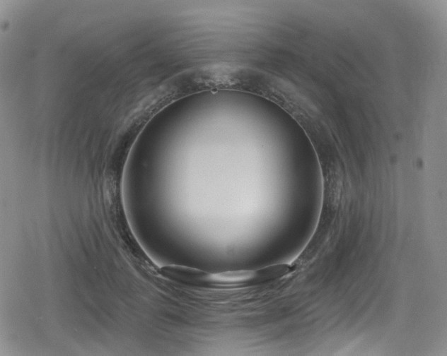 X0000080200747200612081427