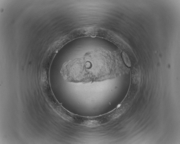 X0000080200748200612081427