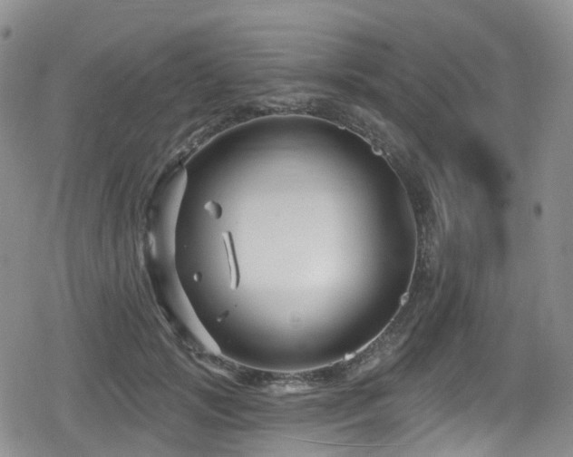 X0000080200749200612081427