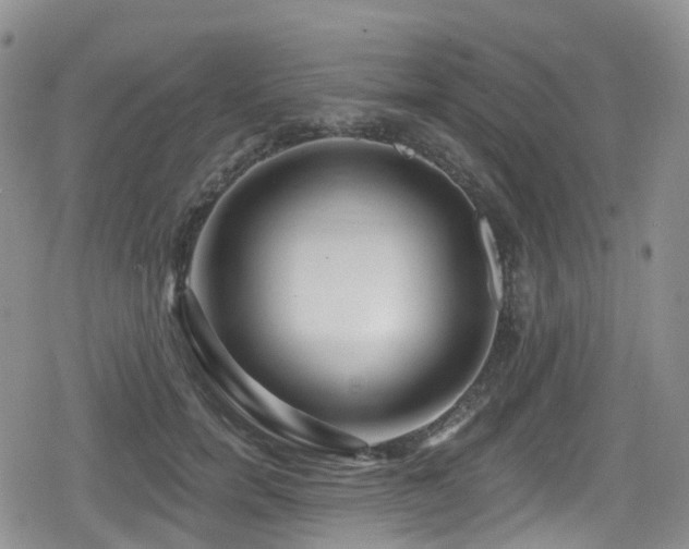 X0000080200750200612081427