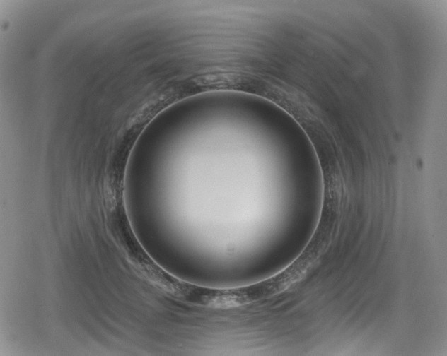 X0000080200751200612081427