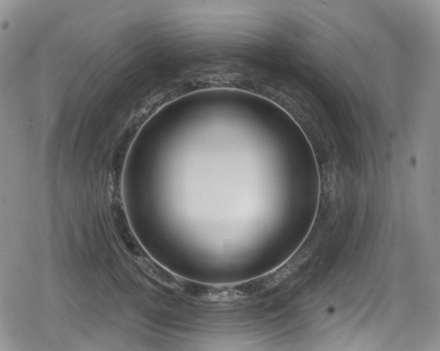 X0000080200752200612081427