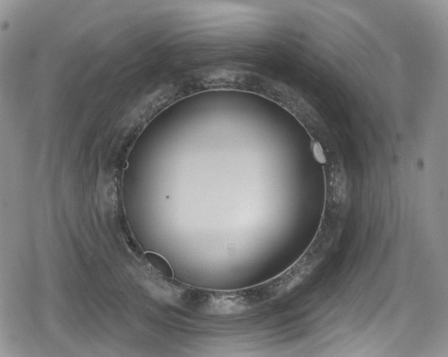 X0000080200753200612081427