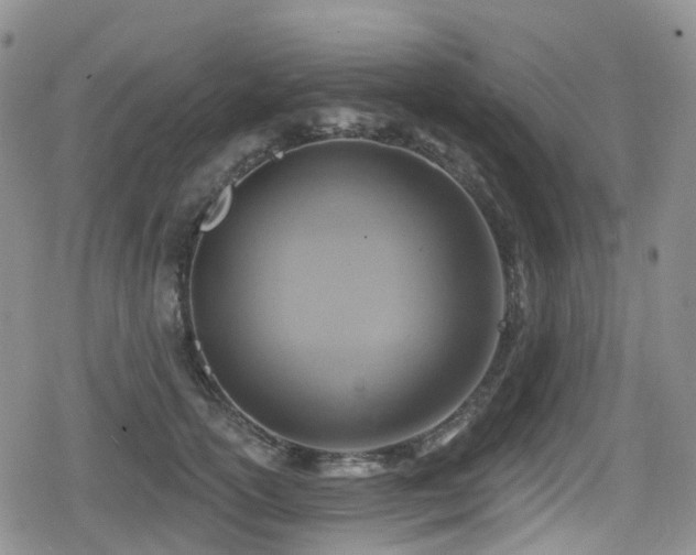 X0000080200754200612081427