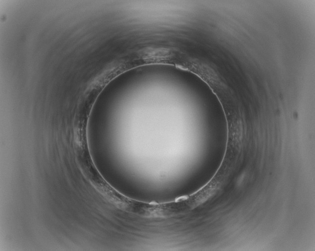 X0000080200755200612081427