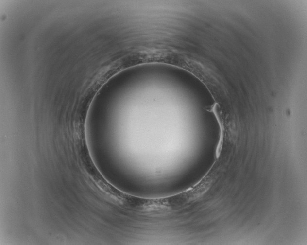 X0000080200756200612081427