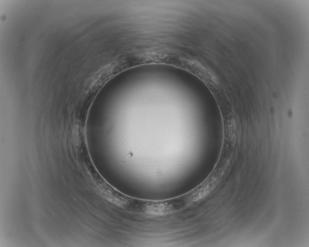 X0000080200757200612081427