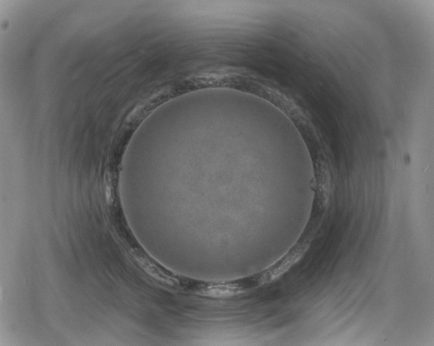 X0000080200758200612081427