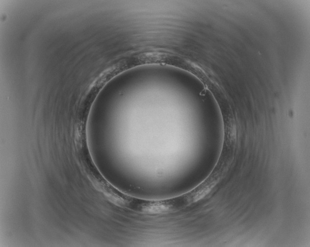 X0000080200759200612081427