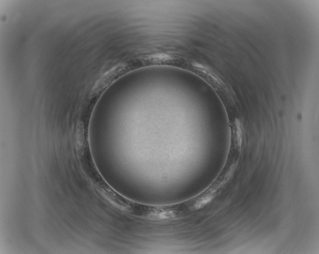 X0000080200760200612081427