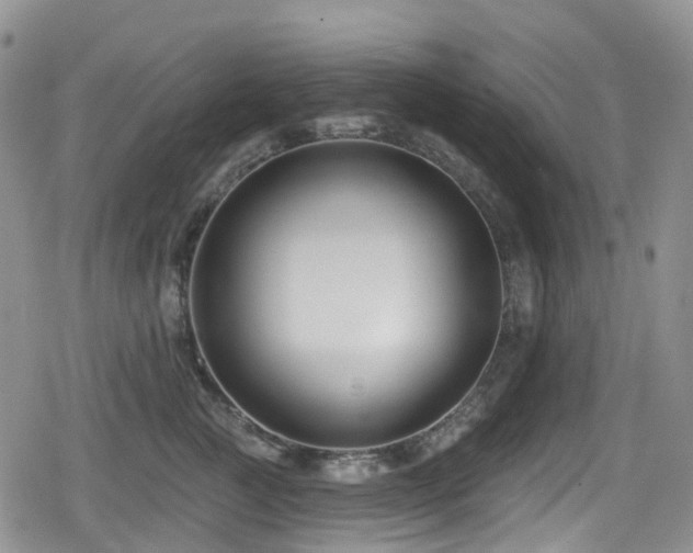 X0000080200761200612081427