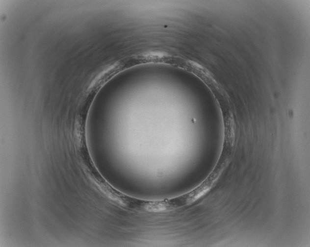 X0000080200762200612081427