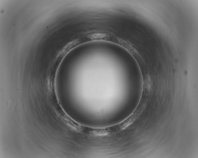 X0000080200763200612081427