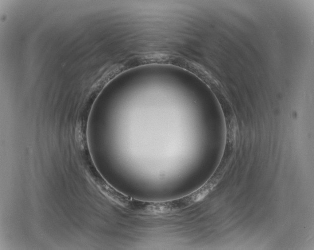 X0000080200764200612081427