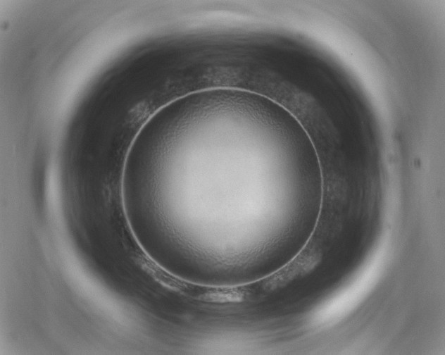 X0000080200765200612081427