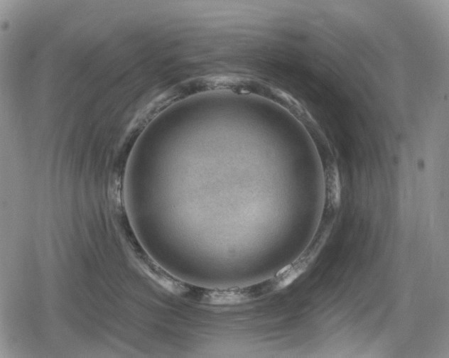 X0000080200766200612081427