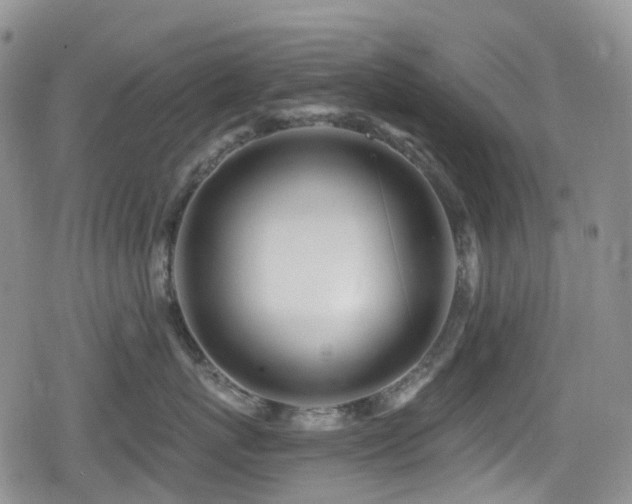 X0000080200767200612081427