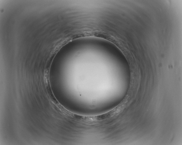 X0000080200768200612081427