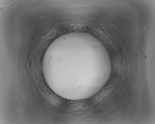 X0000080200769200612081426