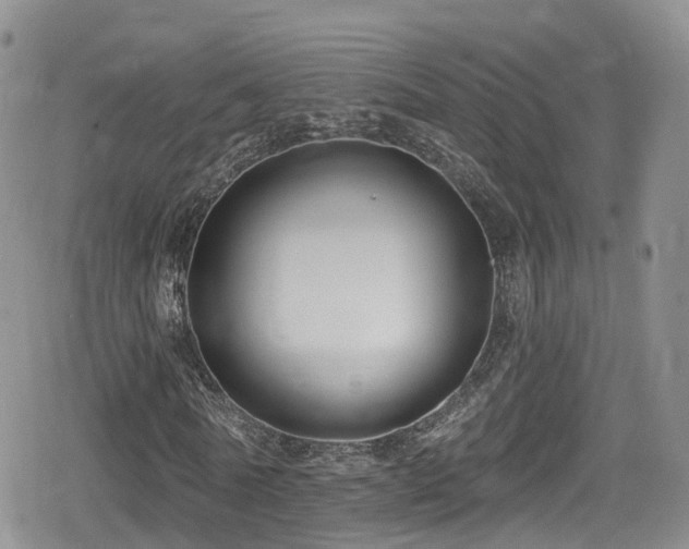 X0000080200770200612081426