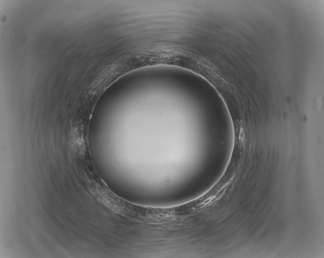 X0000080200771200612081426