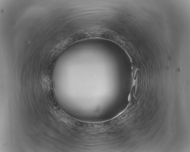 X0000080200772200612081426