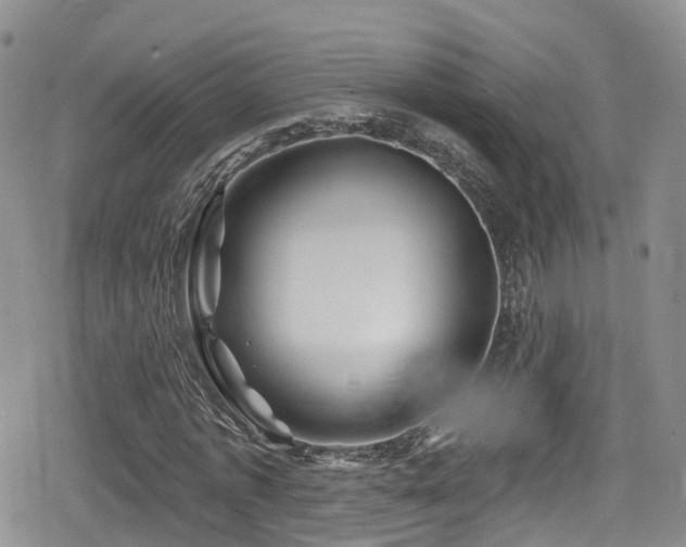 X0000080200773200612081426