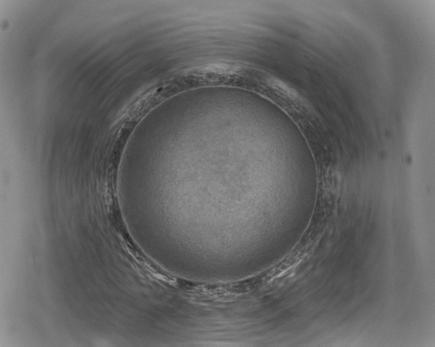 X0000080200774200612081426