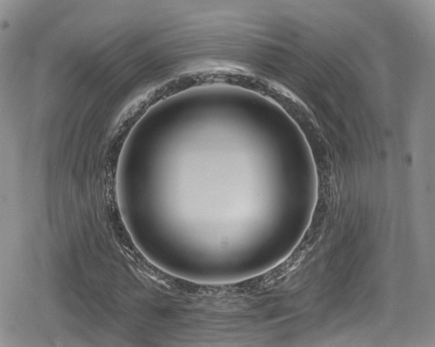 X0000080200775200612081426