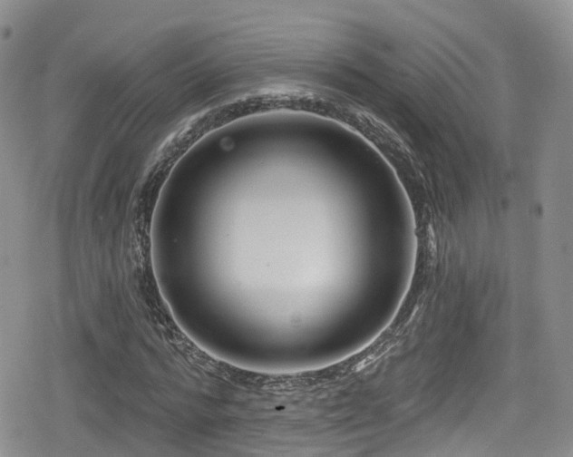 X0000080200776200612081426