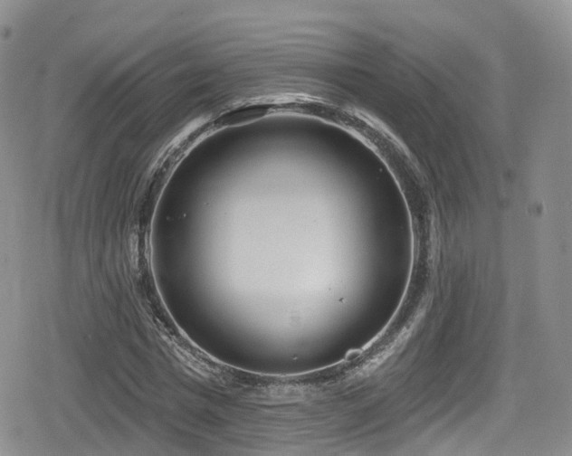 X0000080200777200612081426