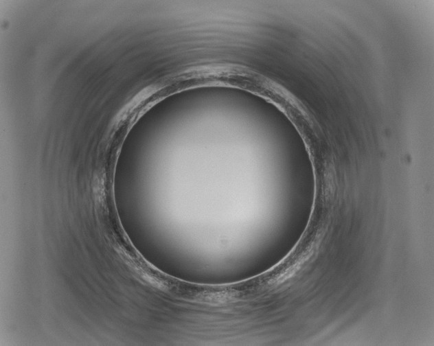 X0000080200778200612081426