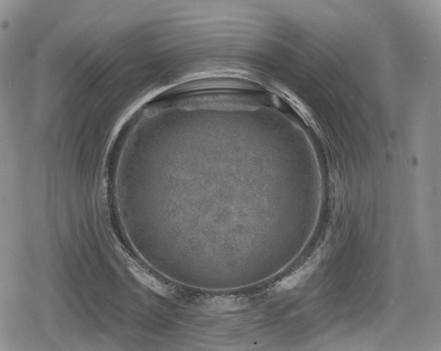 X0000080200779200612081426